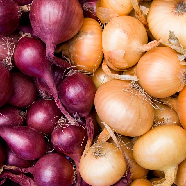 Onions