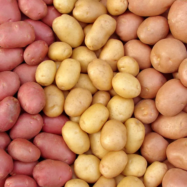 Potatoes
