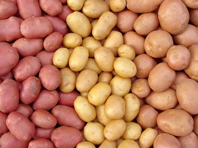 Various potatoes