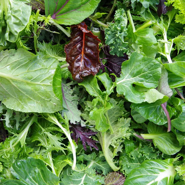 Salad